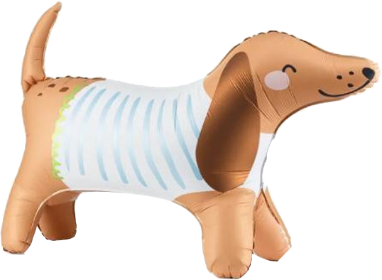 Large Floor Standing Dachshund Balloon Bunch